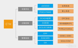 網絡技術服務 驅動現代商業與生活的無形引擎