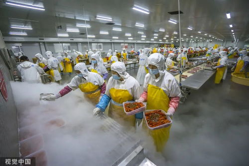 打1折的臨期食品，到底能不能吃？農(nóng)業(yè)科技研發(fā)給出答案
